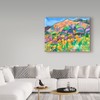 Trademark Fine Art Carissa Luminess 'Poppy Hills' Canvas Art, 24x32 ALI25651-C2432GG